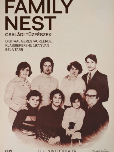 Family Nest (Családi tűzfészek)